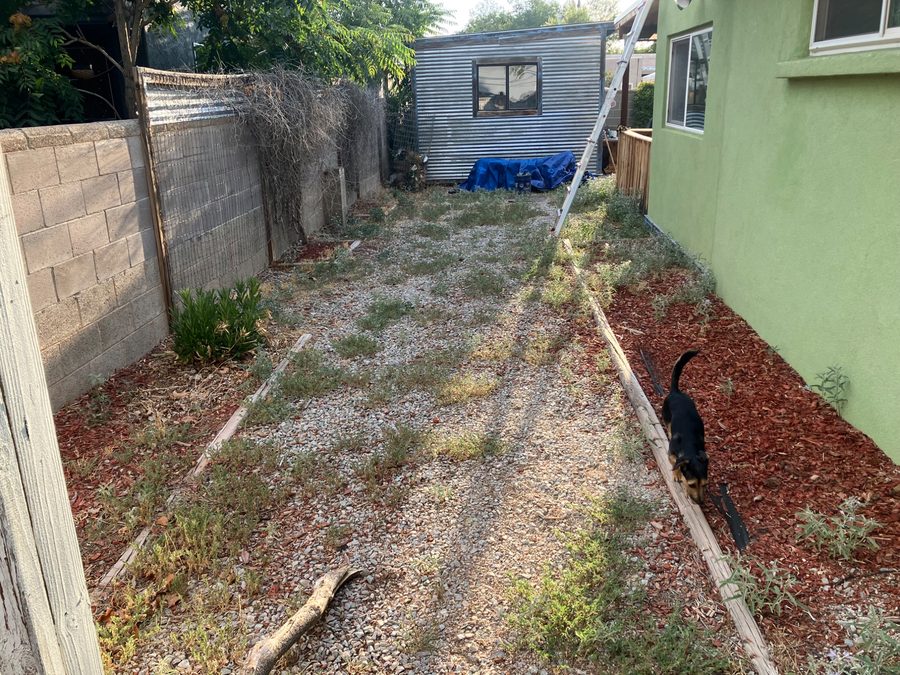Before — dirty rock yard